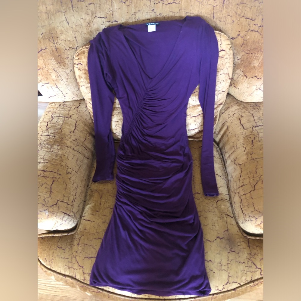 Venus Ruched Purple Plum Dress